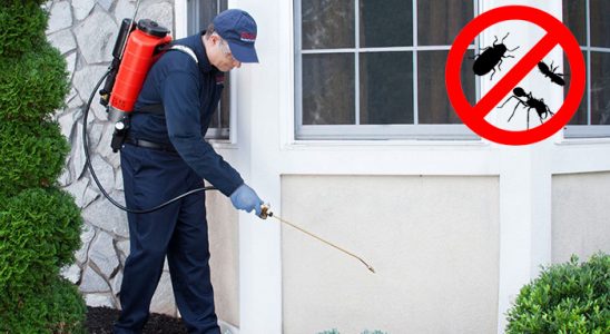Koyulhisar Kemirgen İlaçlama böcek ilaçlama ve haşere kontrolü — ilaclama-tr.com